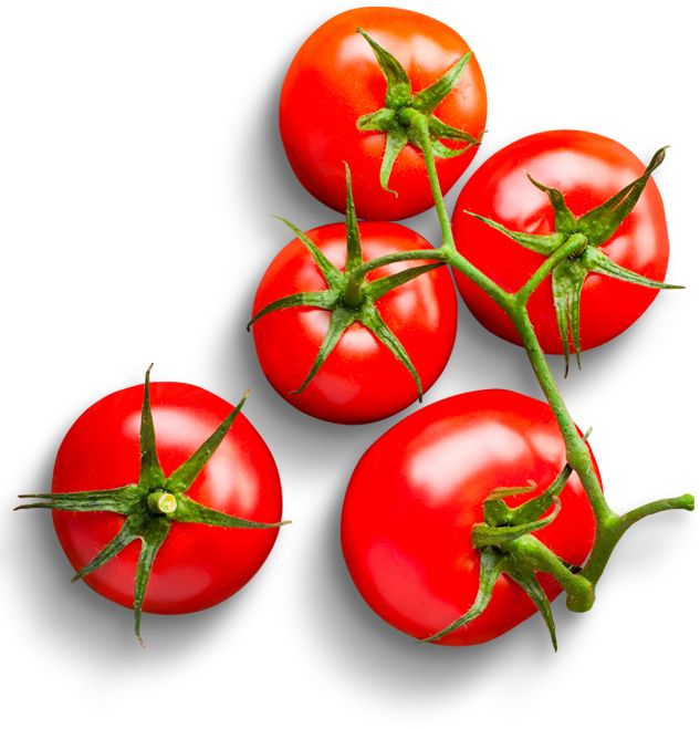 Tomatoes